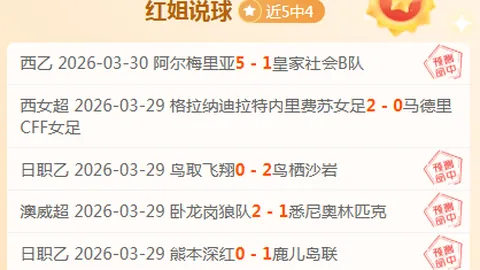 FIFA赛事关键盲点分析要点